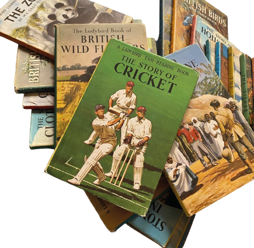 Can You Remember Those Wonderful Ladybird Books?