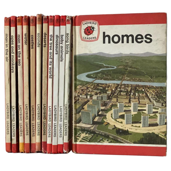 Ladybird Series 737 Books Set of 12