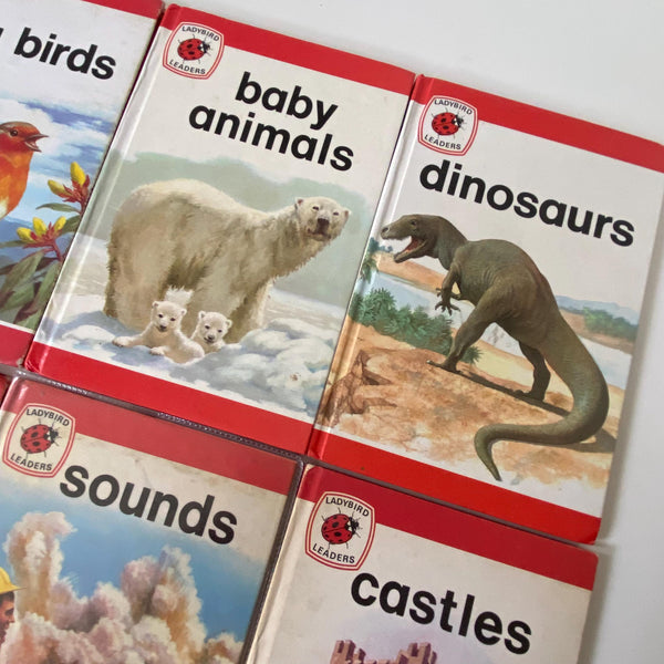 Ladybird Series 737 Books Set of 12