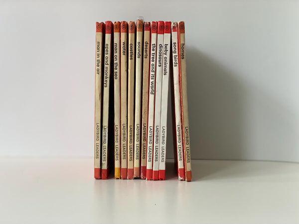 Ladybird Series 737 Books Set of 12