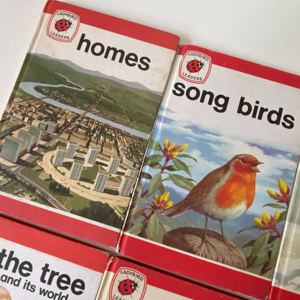 Ladybird Series 737 Books Set of 12